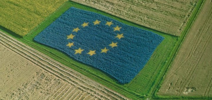 Eu common commercial policy essay