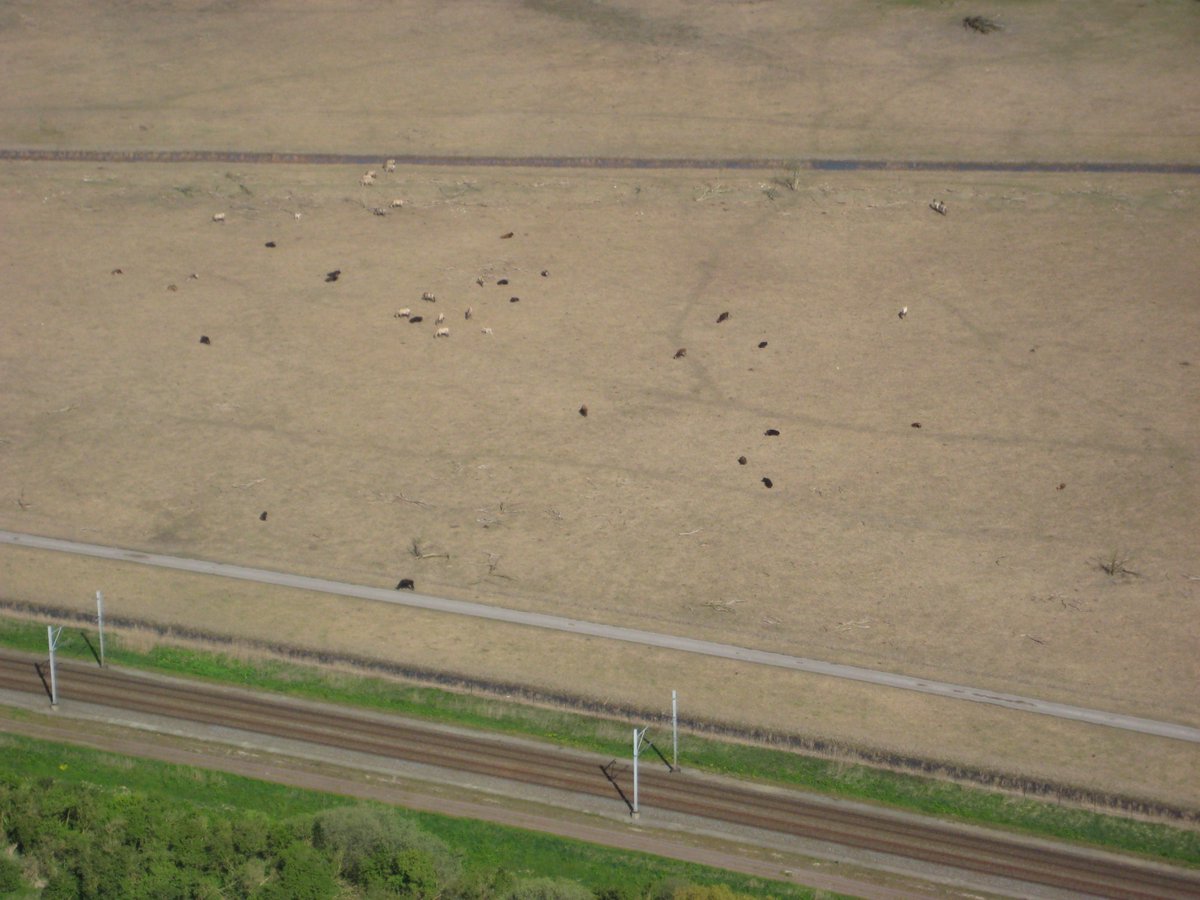 Oostvaardersplassen